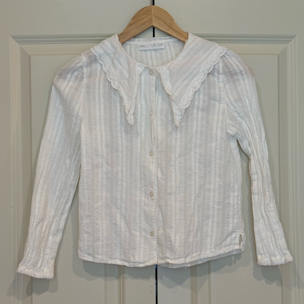 Zara Embroidered Linen Dress Shirt, size 10